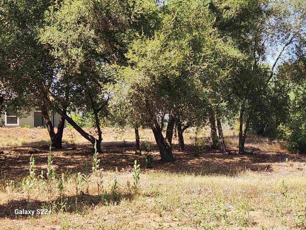 14053 McNally Road Valley Center, CA 92082 - Photo 40 of 51