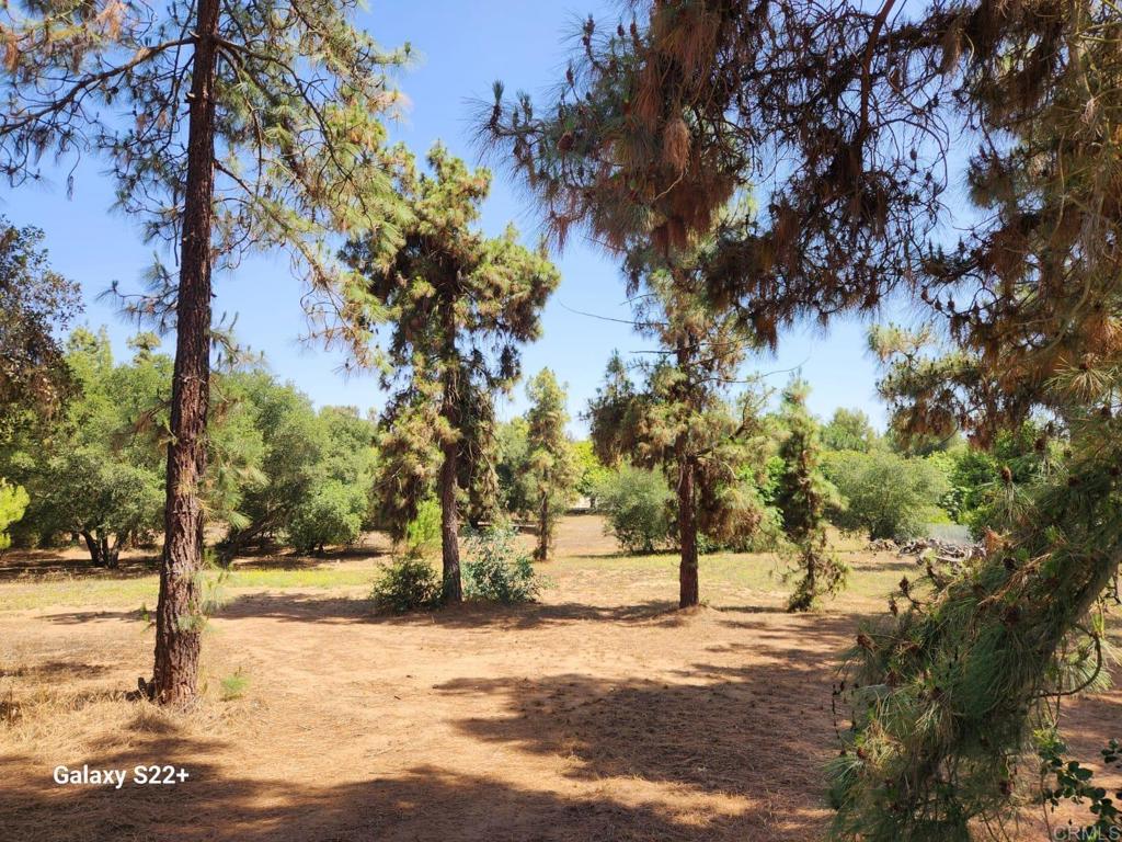 14053 McNally Road Valley Center, CA 92082 - Photo 44 of 51