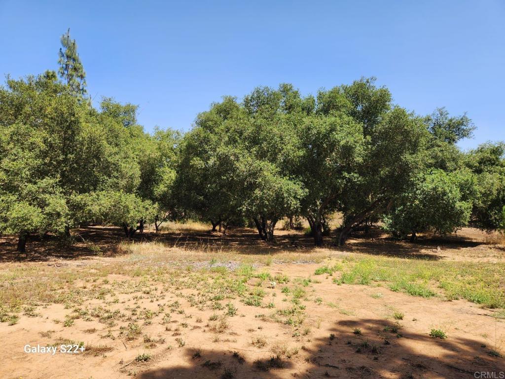 14053 McNally Road Valley Center, CA 92082 - Photo 47 of 51