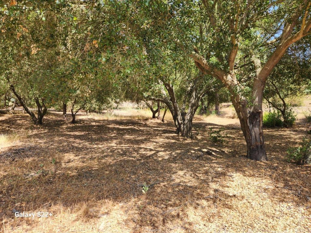 14053 McNally Road Valley Center, CA 92082 - Photo 49 of 51