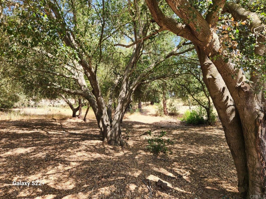 14053 McNally Road Valley Center, CA 92082 - Photo 50 of 51