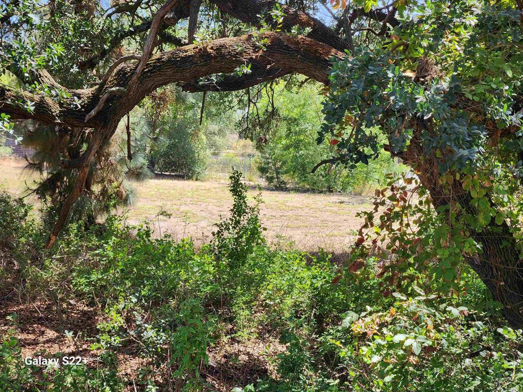 14053 McNally Road Valley Center, CA 92082 - Photo 51 of 51