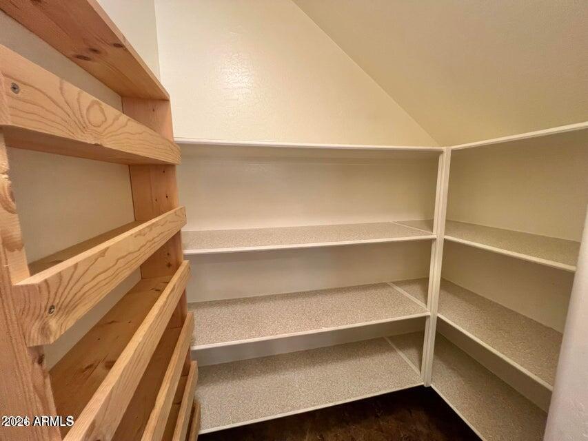 3886 East Rawhide Street Gilbert, AZ 85296 - Photo 14 of 52 a view of walk in closet with empty racks