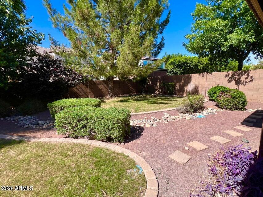 3886 East Rawhide Street Gilbert, AZ 85296 - Photo 50 of 52 a view of a backyard