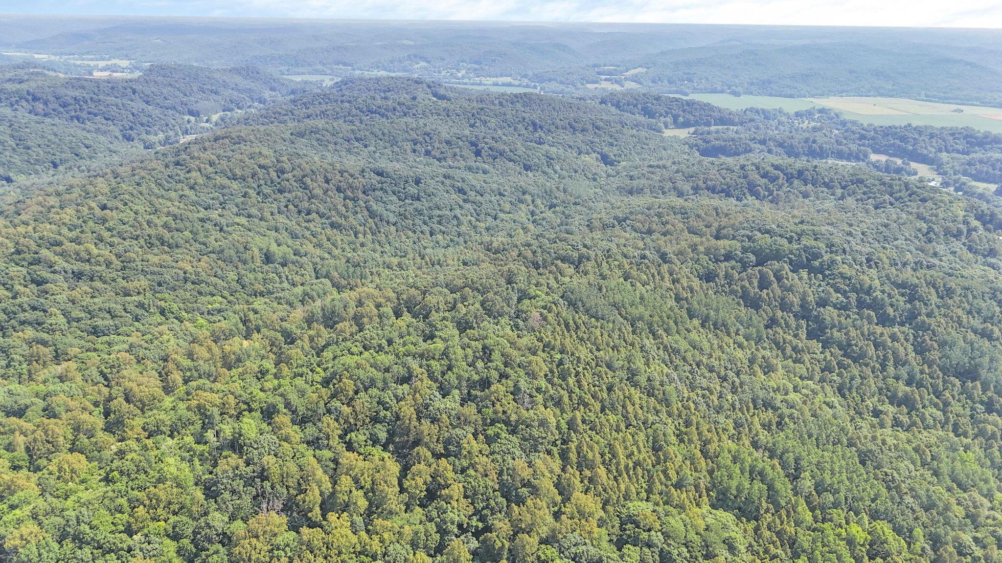 0 Thad Hall Road Laurelville, OH 43135 - Photo 9 of 28 7-web-or-mls-DJI_20240621161157_0067_D
