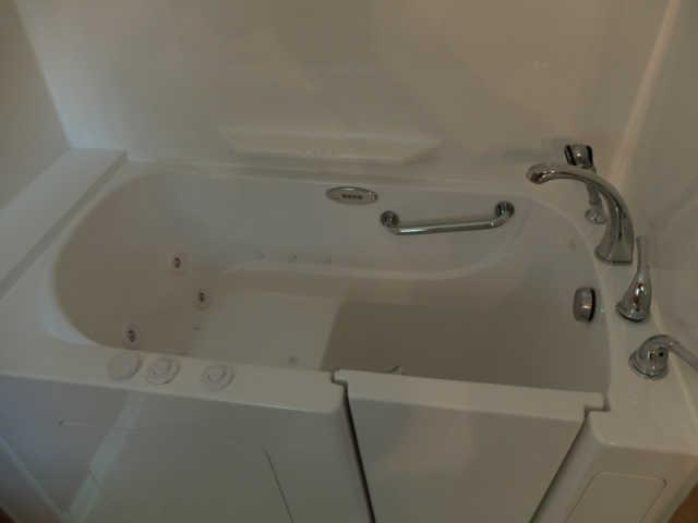 5009 Sam Davis Road Smyrna, TN 37167 - Photo 9 of 12 Incredible walk-in whirlpool tub/shower