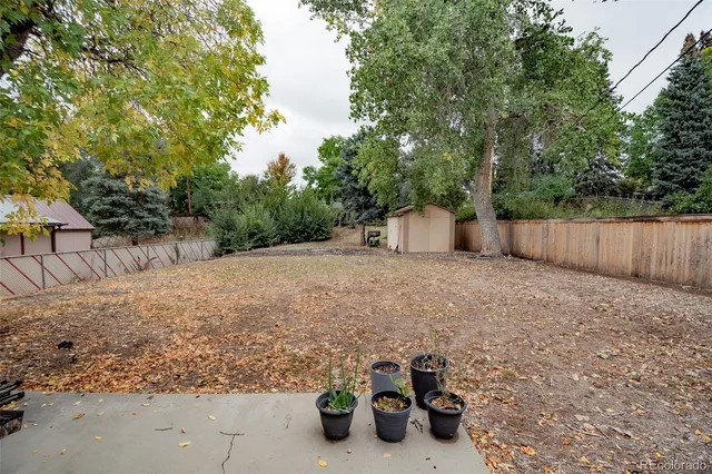 a view of a backyard