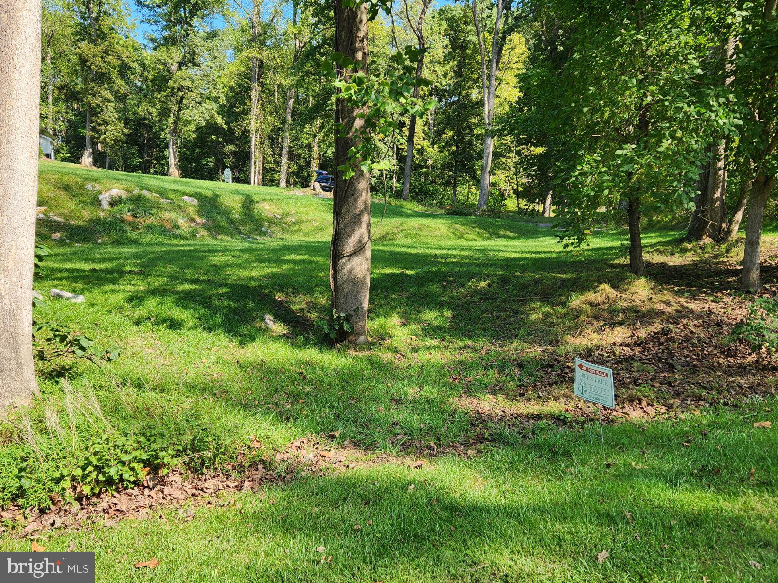 Reachcliff Shepherdstown, WV 25443 - Photo 3 of 13