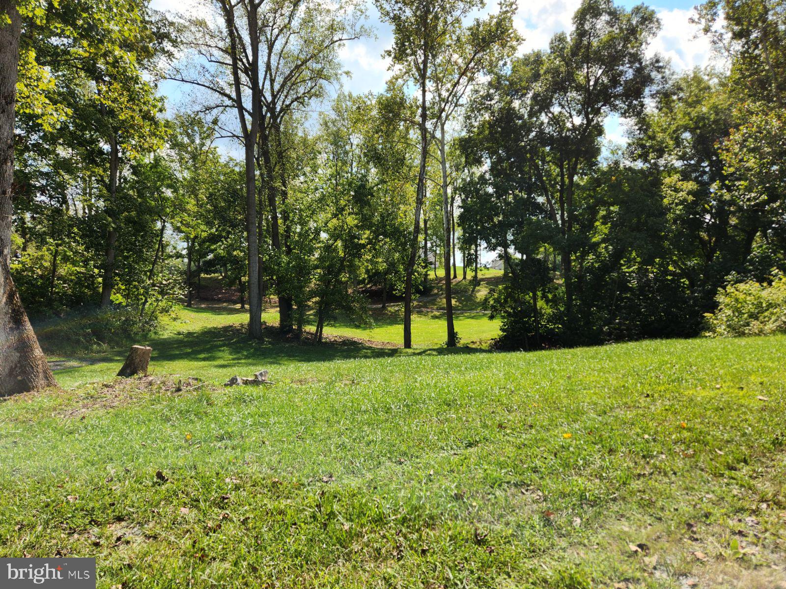 Reachcliff Shepherdstown, WV 25443 - Photo 6 of 13