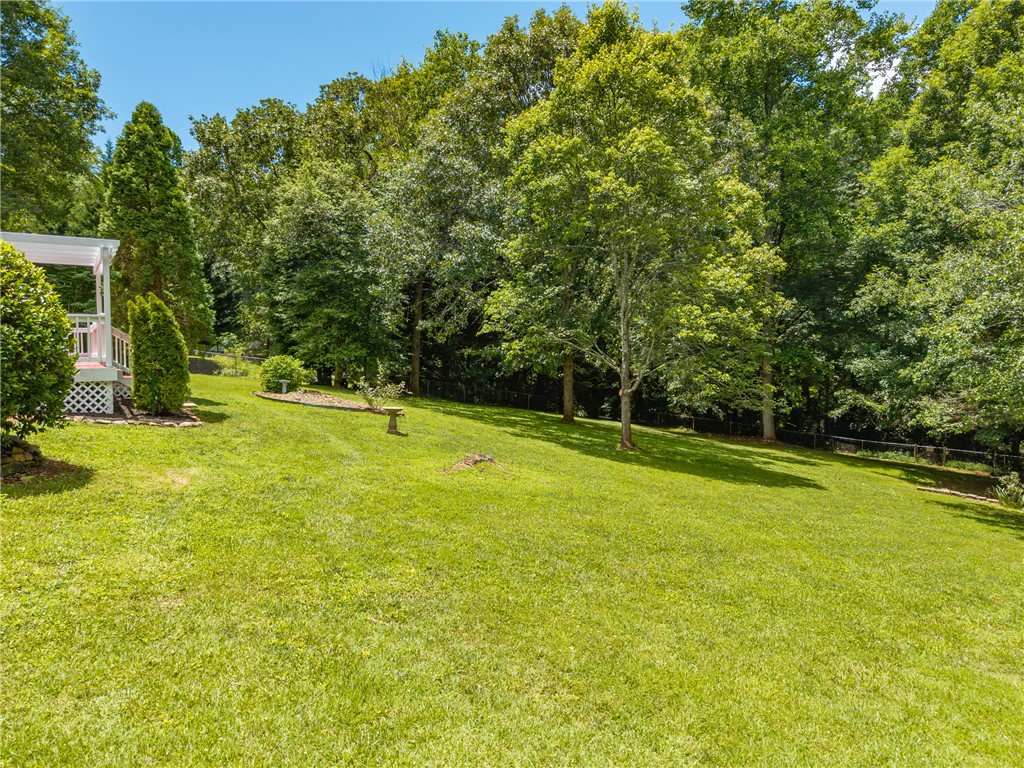 429 Burns Mill Road West Union, SC 29696 - Photo 45 of 49 A spacious, verdant lawn leads to a wooded area, offering a private, natural setting.