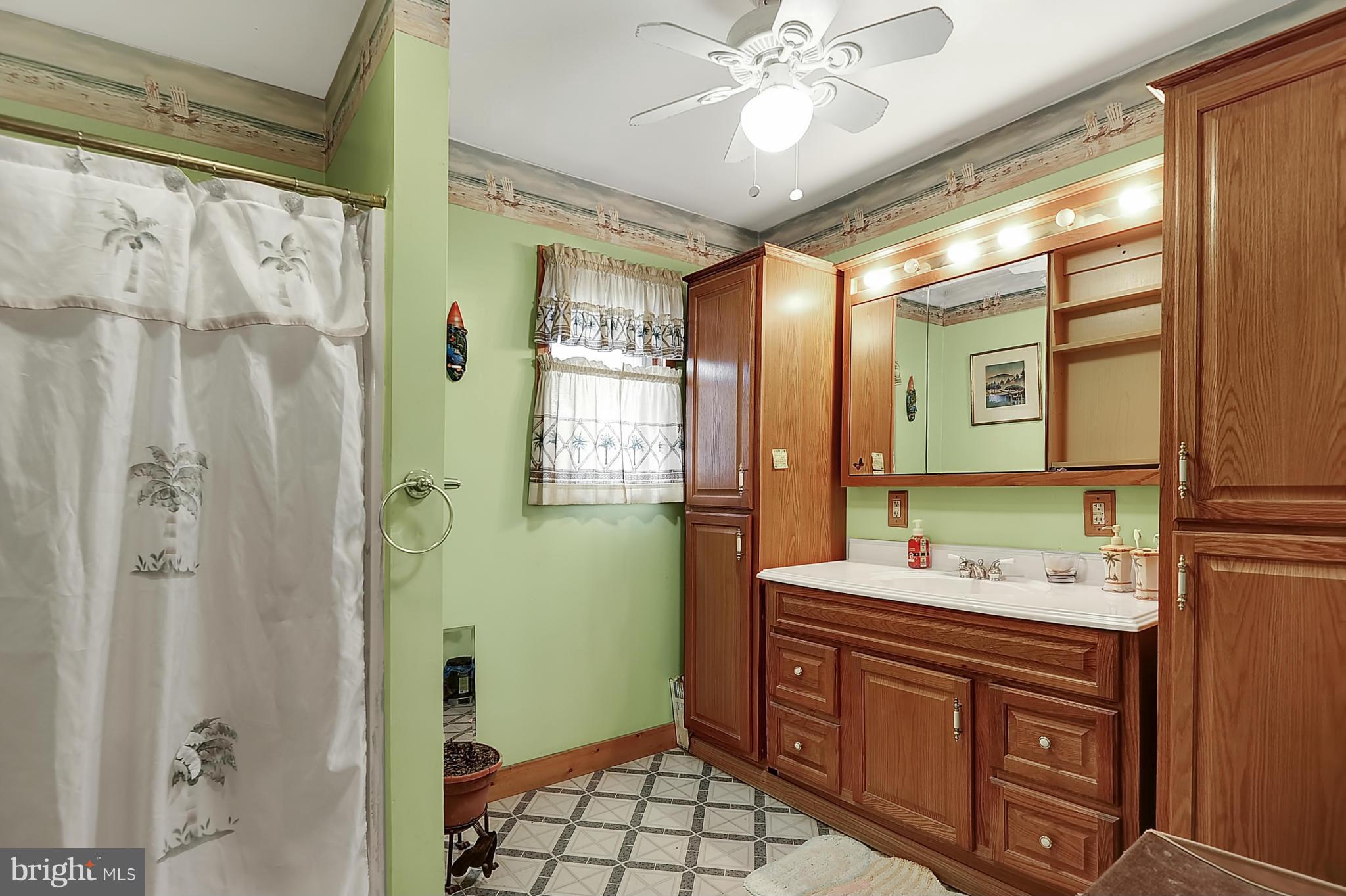 921 Sue Grove Road Baltimore, MD 21221 - Photo 18 of 28 Bath (Master)