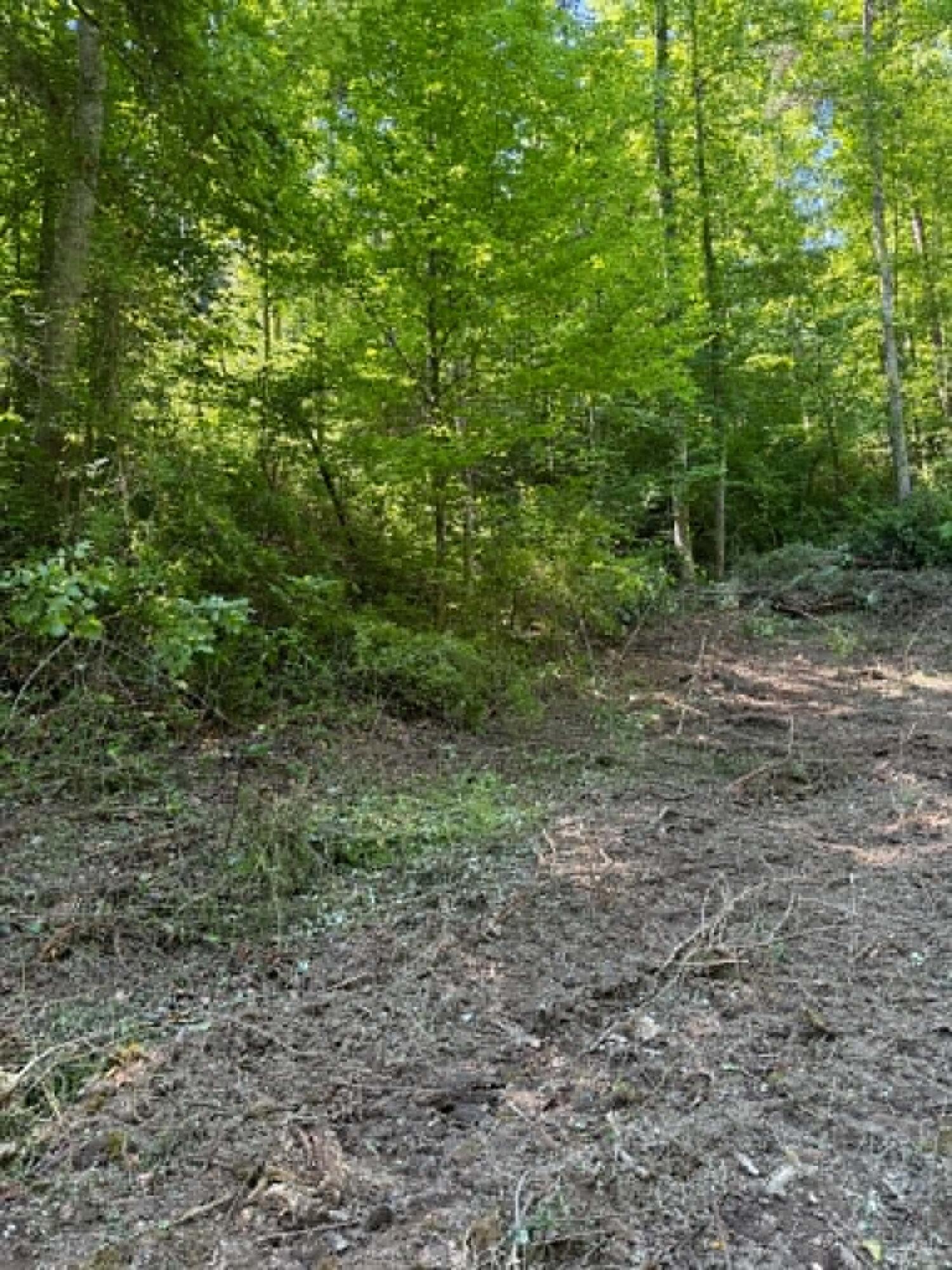 0 Ky-706 Road Isonville, KY 41149 - Photo 4 of 17 7b00dd3b-253a-4f03-b359-90750705f211