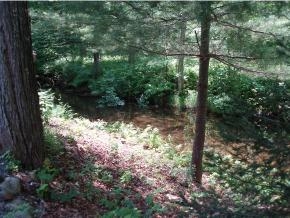 13 Whittemore Point South Road Bristol, NH 03222 - Photo 5 of 20 Gallery Image 5