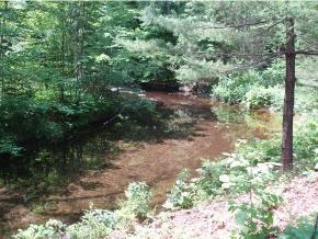 13 Whittemore Point South Road Bristol, NH 03222 - Photo 6 of 20 Gallery Image 6