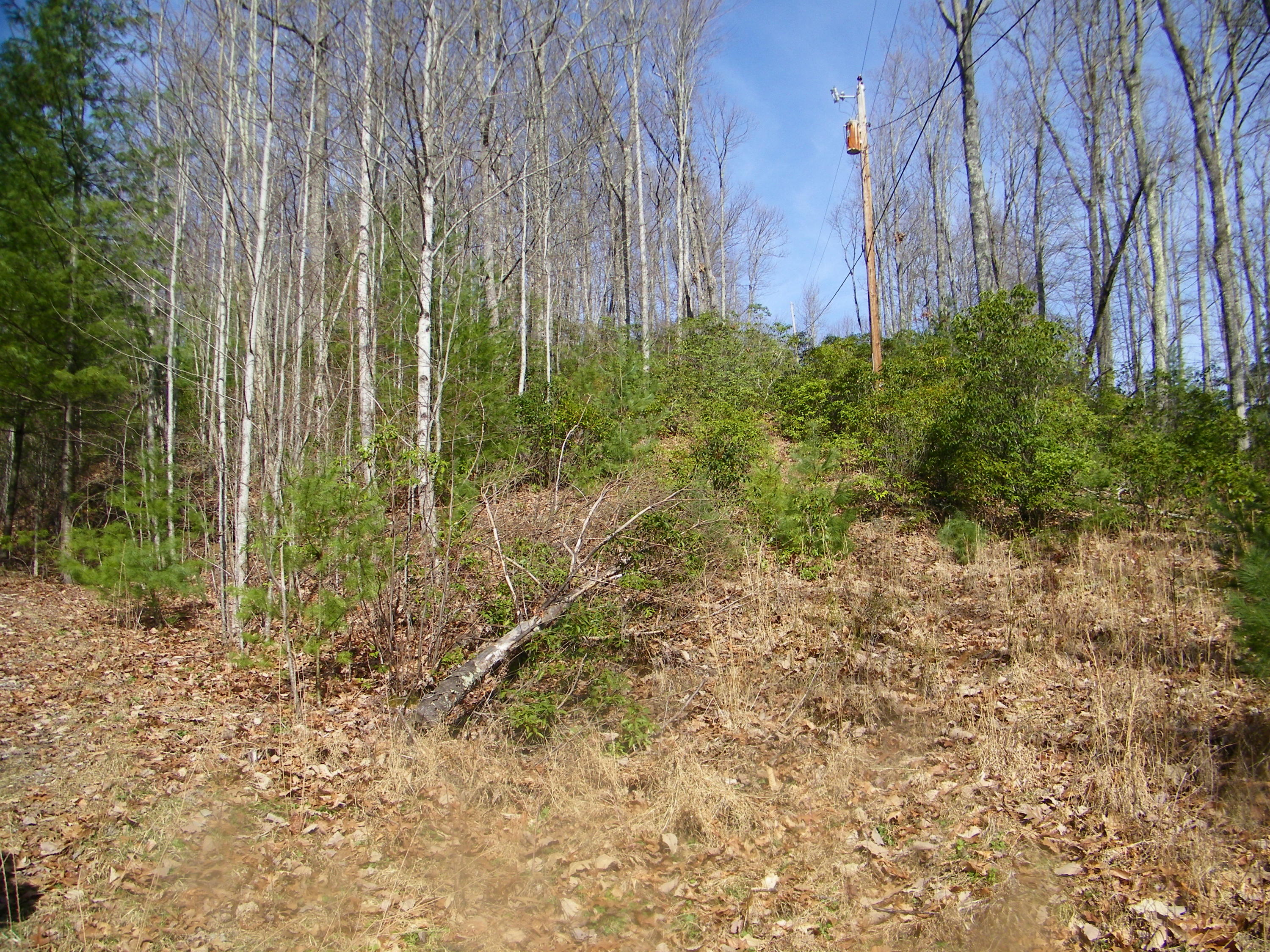 3829 Stone Mountain Road Coeburn, VA 24230 - Photo 16 of 19 106_1488