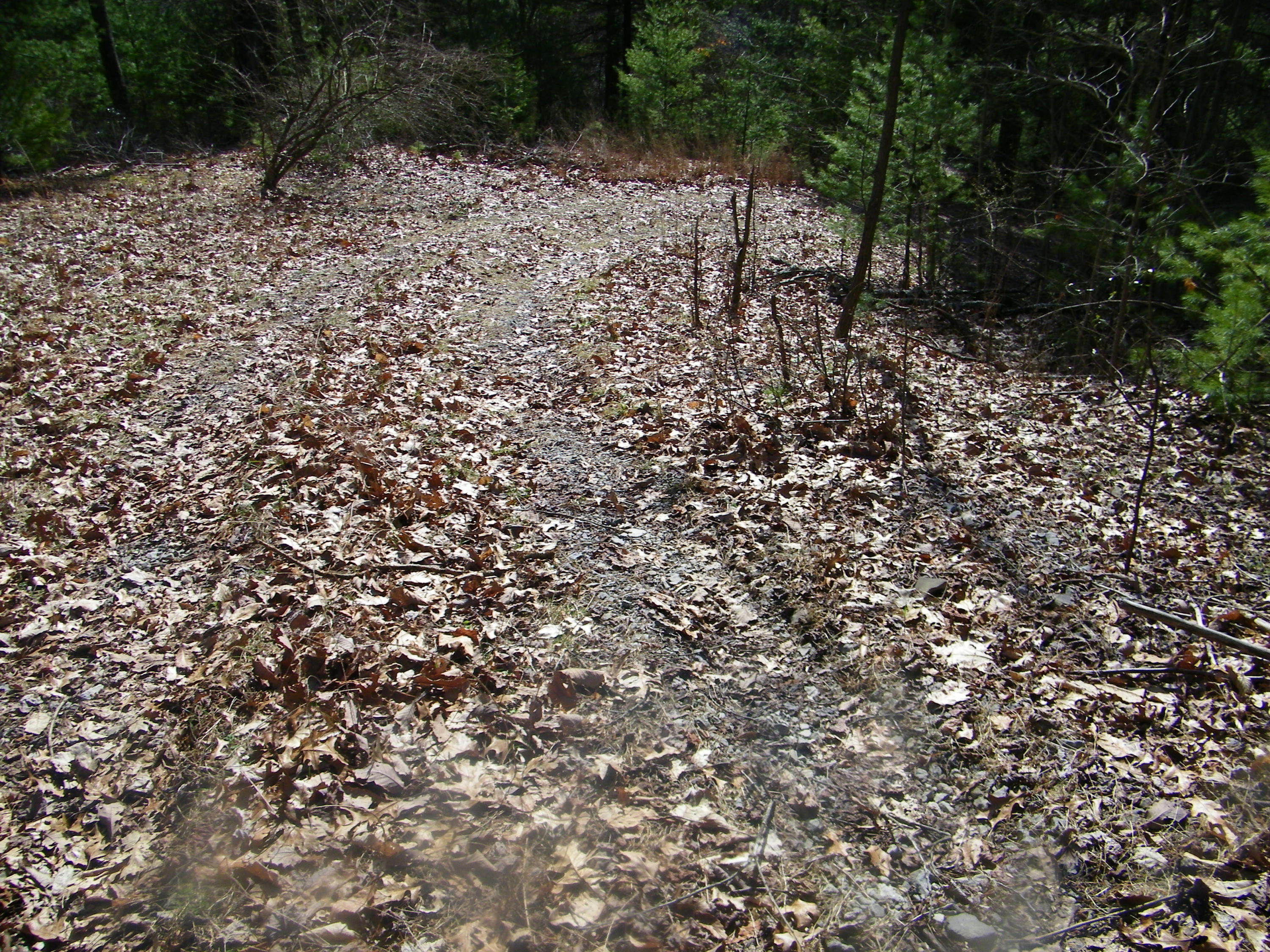3829 Stone Mountain Road Coeburn, VA 24230 - Photo 17 of 19 106_1489