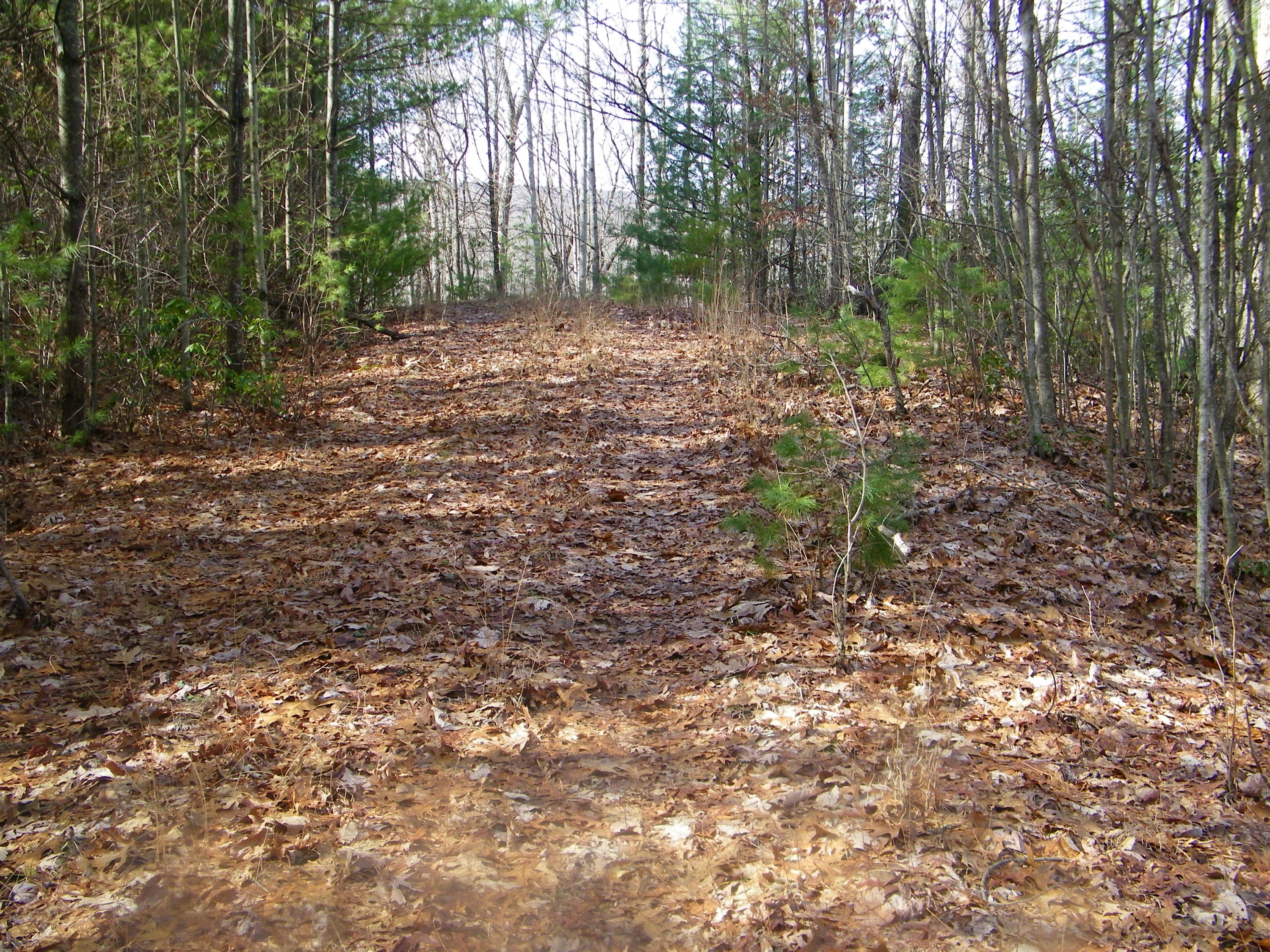 3829 Stone Mountain Road Coeburn, VA 24230 - Photo 18 of 19 106_1496