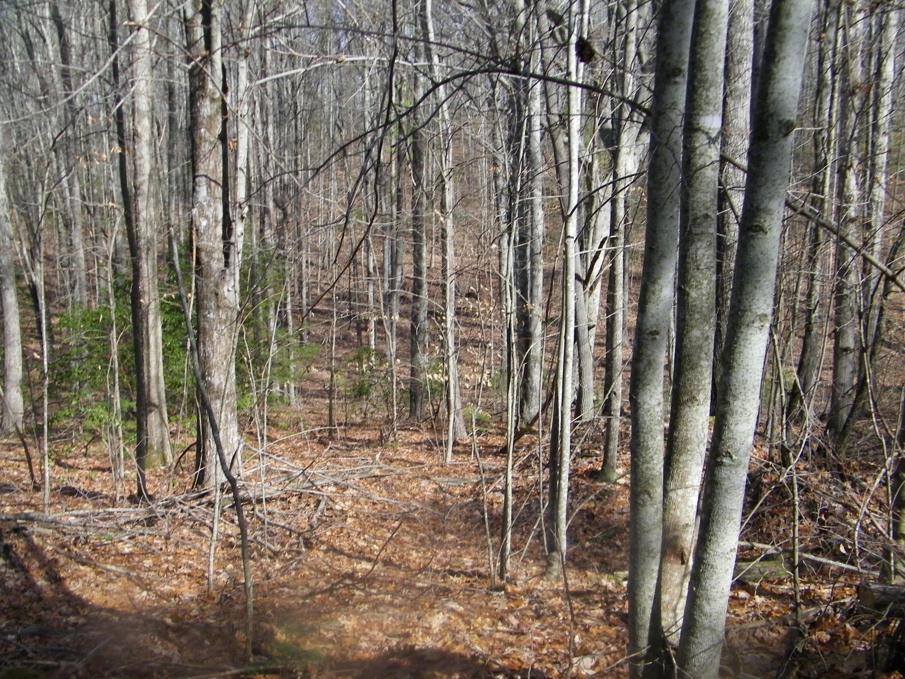 3829 Stone Mountain Road Coeburn, VA 24230 - Photo 19 of 19 106_1497