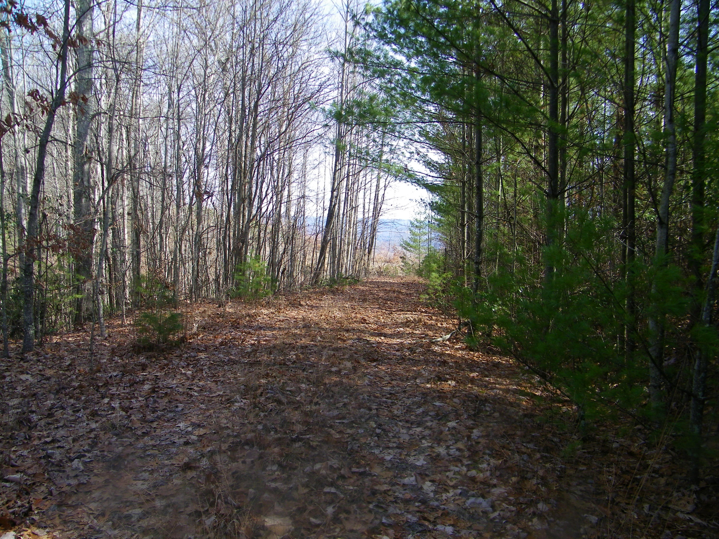 3829 Stone Mountain Road Coeburn, VA 24230 - Photo 3 of 19 106_1509