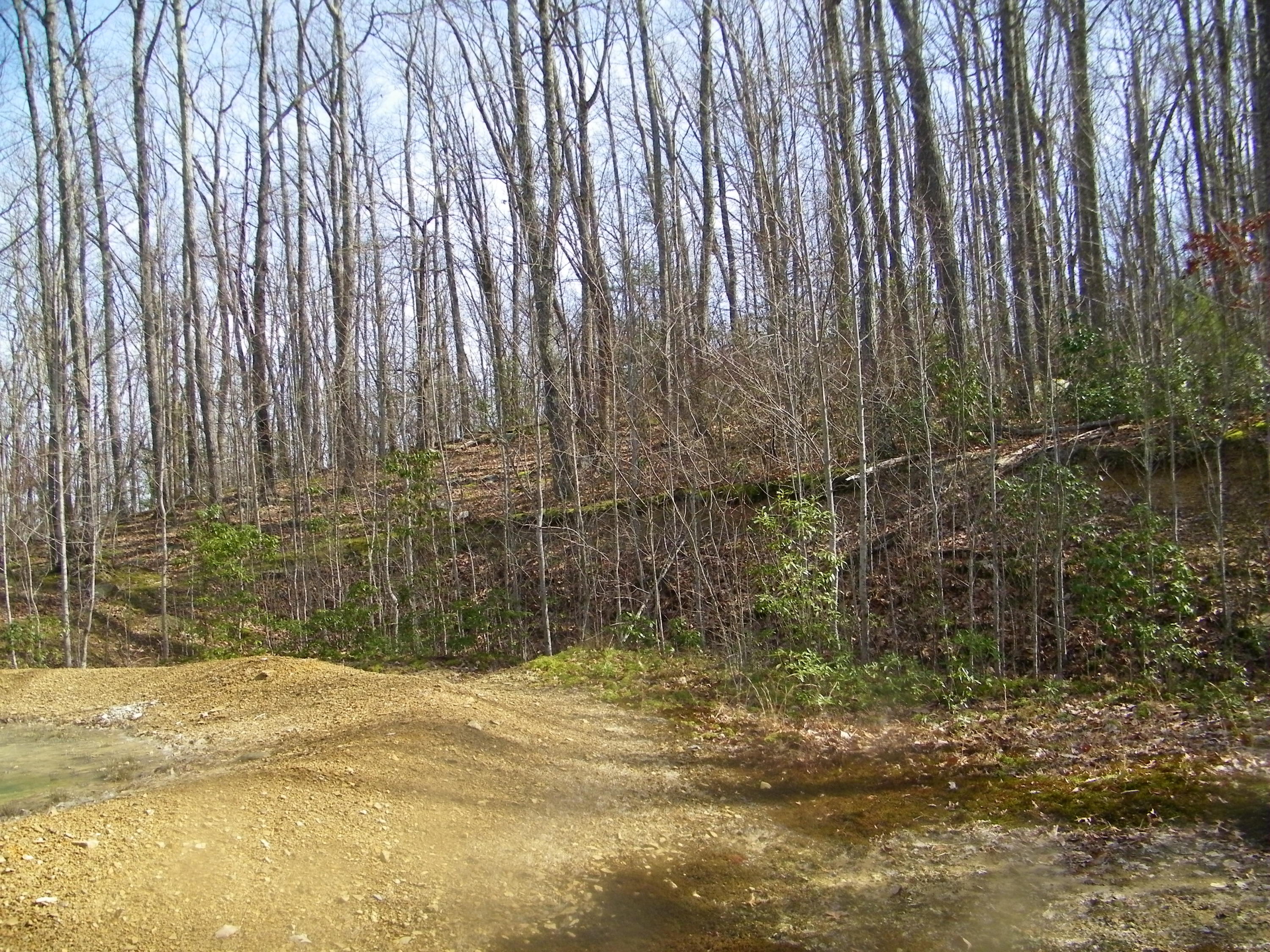 3829 Stone Mountain Road Coeburn, VA 24230 - Photo 4 of 19 106_1506
