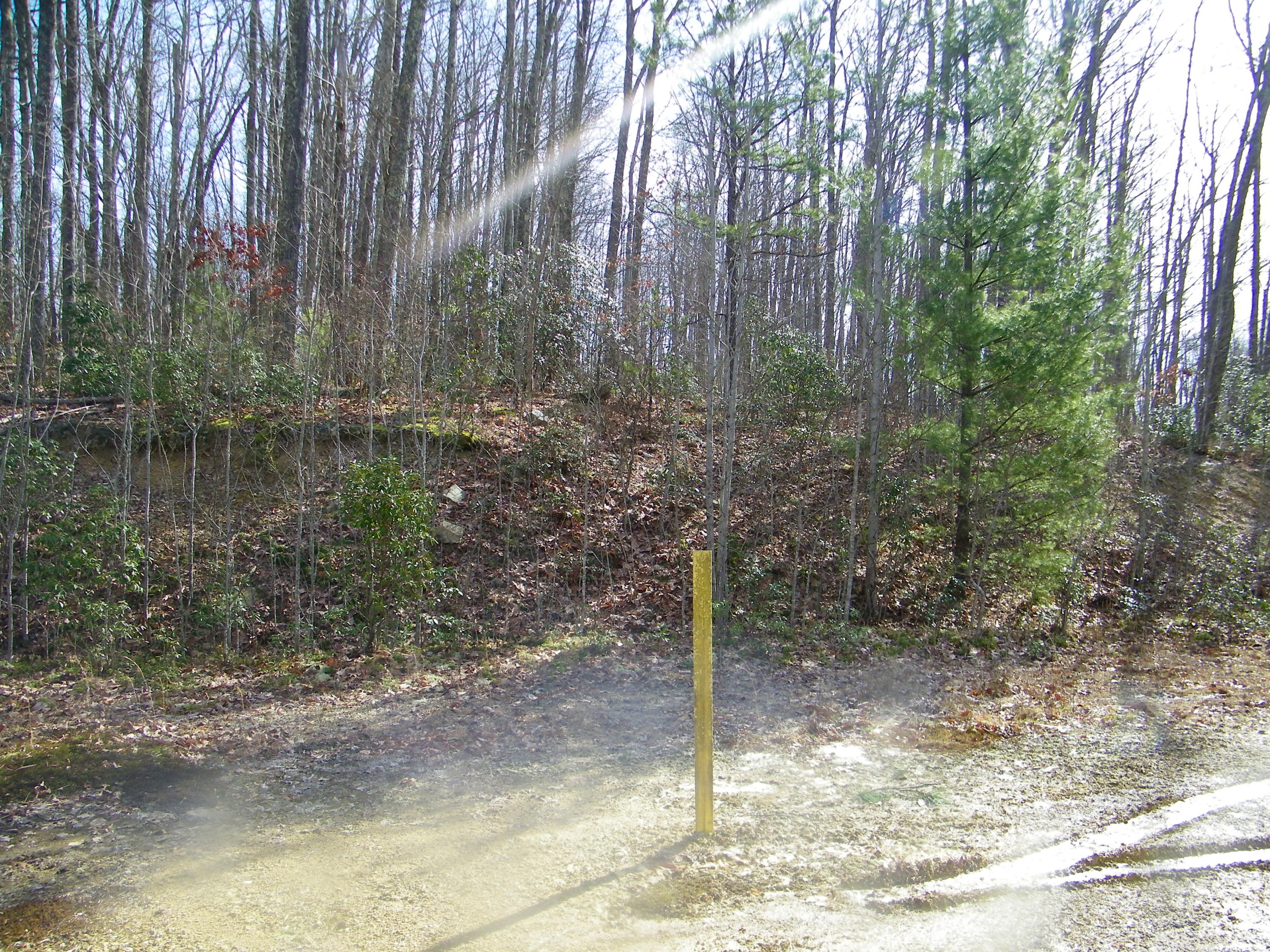 3829 Stone Mountain Road Coeburn, VA 24230 - Photo 7 of 19 106_1505