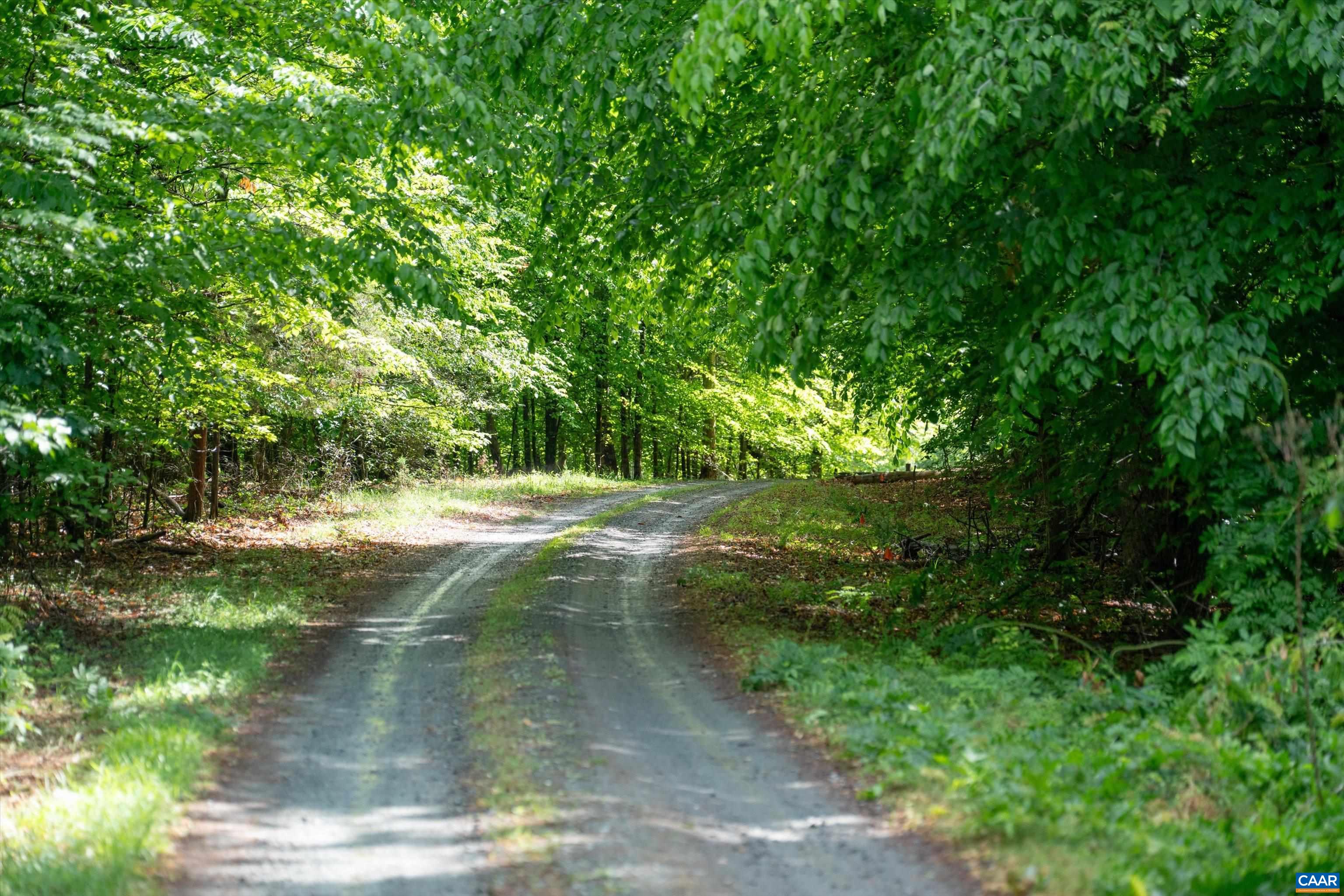 Gilbert Station Road Barboursville, VA 22923 - Photo 22 of 27