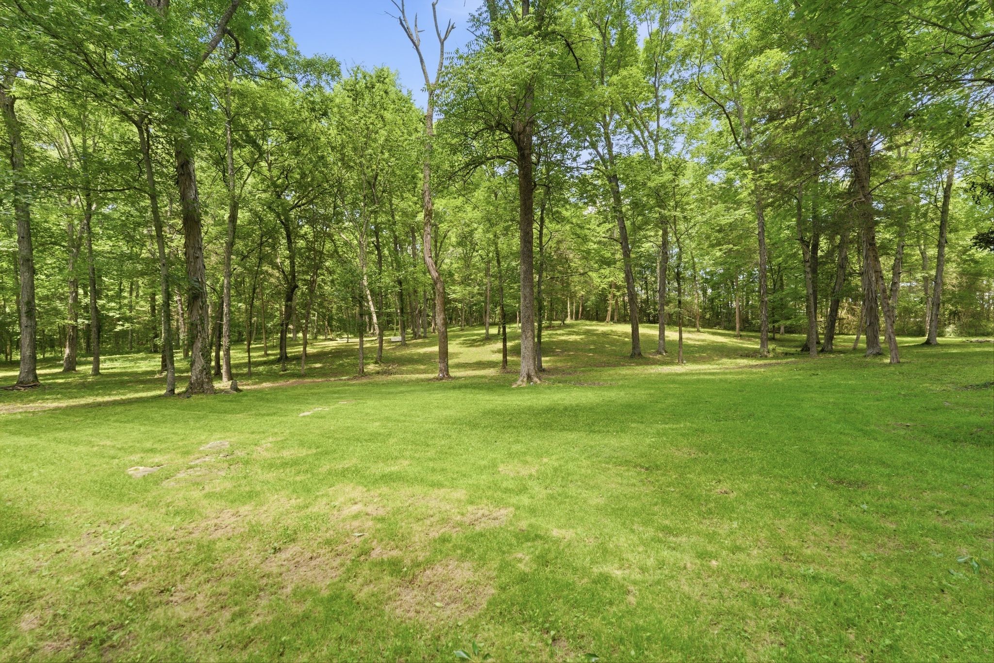 4860 Pyles Road Chapel Hill, TN 37034 - Photo 30 of 42