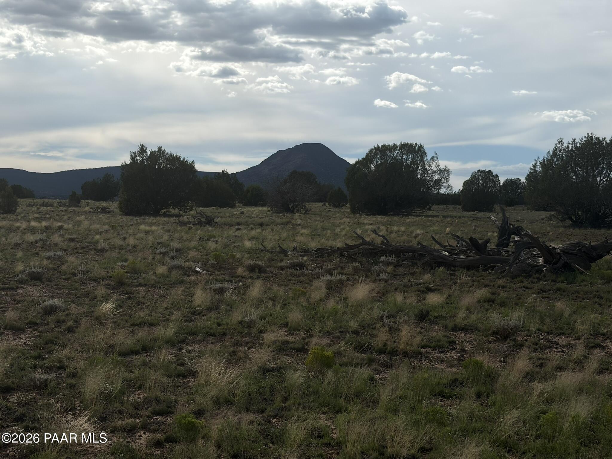 59- Rocky Rabbit Road Ash Fork, AZ 86320 - Photo 4 of 6 IMG_1809