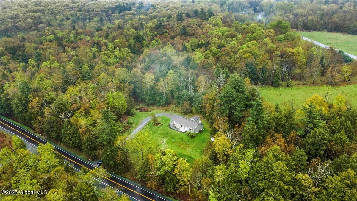452 Blue Factory Road Poestenkill, NY 12018 - Photo 11 of 36 06-DJI_0222