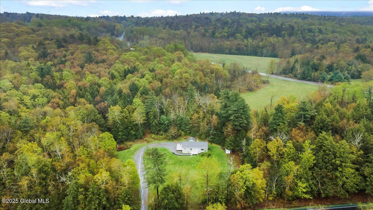 452 Blue Factory Road Poestenkill, NY 12018 - Photo 10 of 36 05-DJI_0219