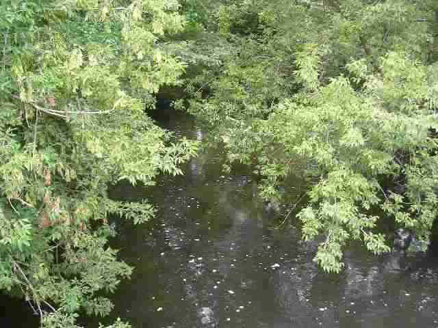 0 750 N Howe, IN 46746 - Photo 3 of 6 Gallery Image 3