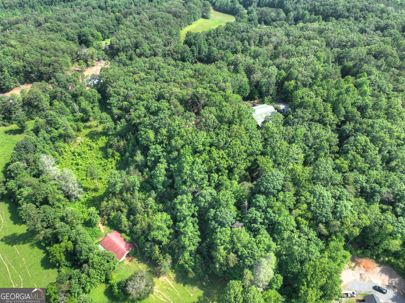 0 Sugar Creek Road Blue Ridge, GA 30513 - Photo 6 of 13