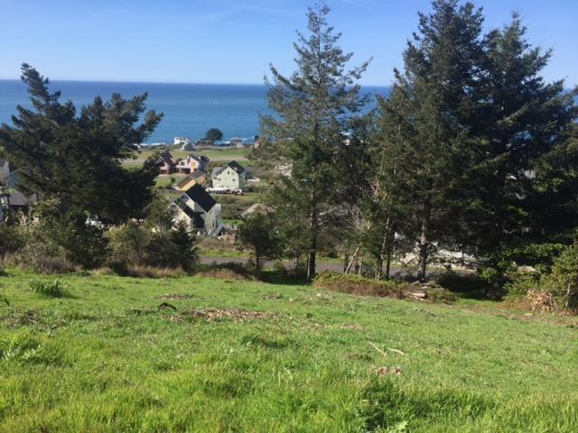 64 Shaker Road Shelter Cove, CA 95589 - Photo 1 of 3 shaker pic 3