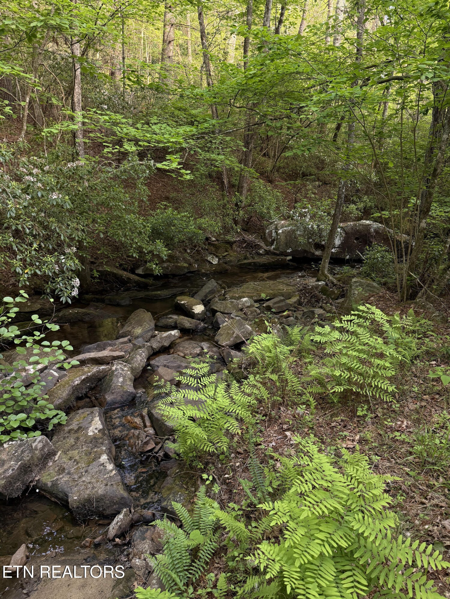 0 Genesis Road Crossville, TN 38555 - Photo 7 of 15