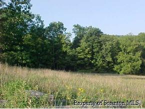 0 Keene Summit Road Wysox, PA 18854 - Photo 4 of 4 Additional Photo