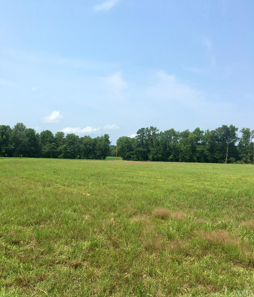 2485 Britton Road Pendleton, NC 27862 - Photo 1 of 8 Main View