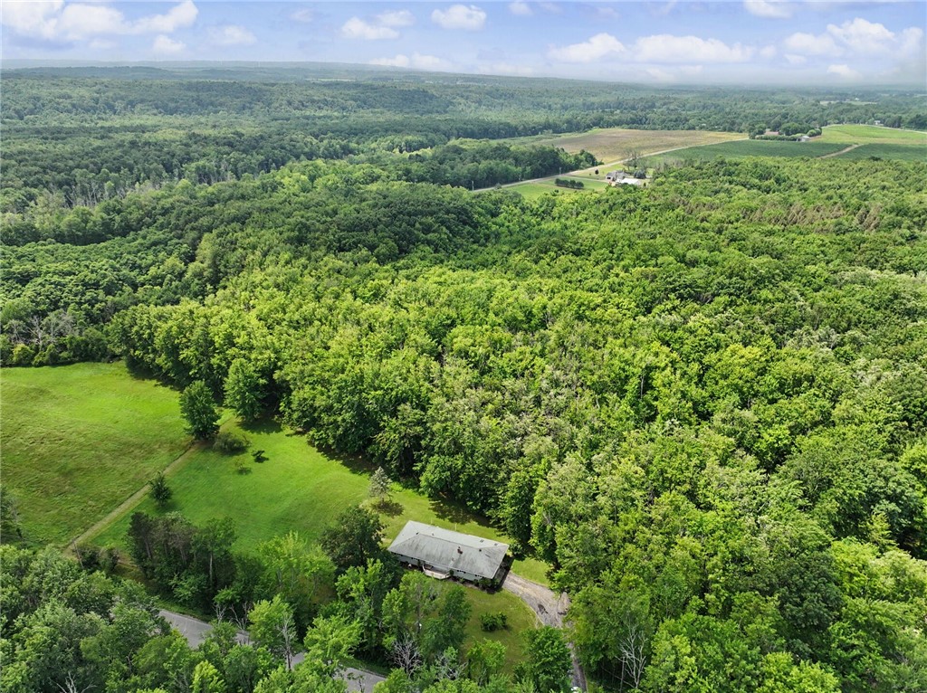 11209 Walnut Road Sheridan, NY 14062 - Photo 40 of 46 Gallery Image 40