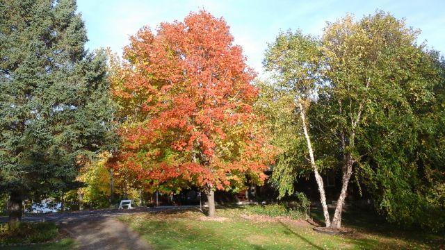 33530 446th Place Aitkin, MN 56431 - Photo 47 of 51