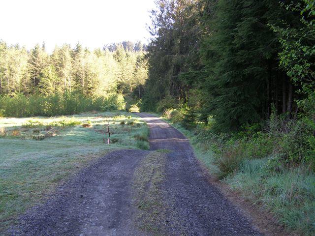 Tl#605 Latimer Road North Tillamook, OR 97141 - Photo 16 of 28 P5021217