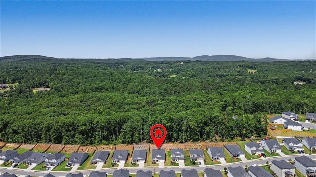 358 Denali Butte Terrace Canton, GA 30114 - Photo 35 of 36