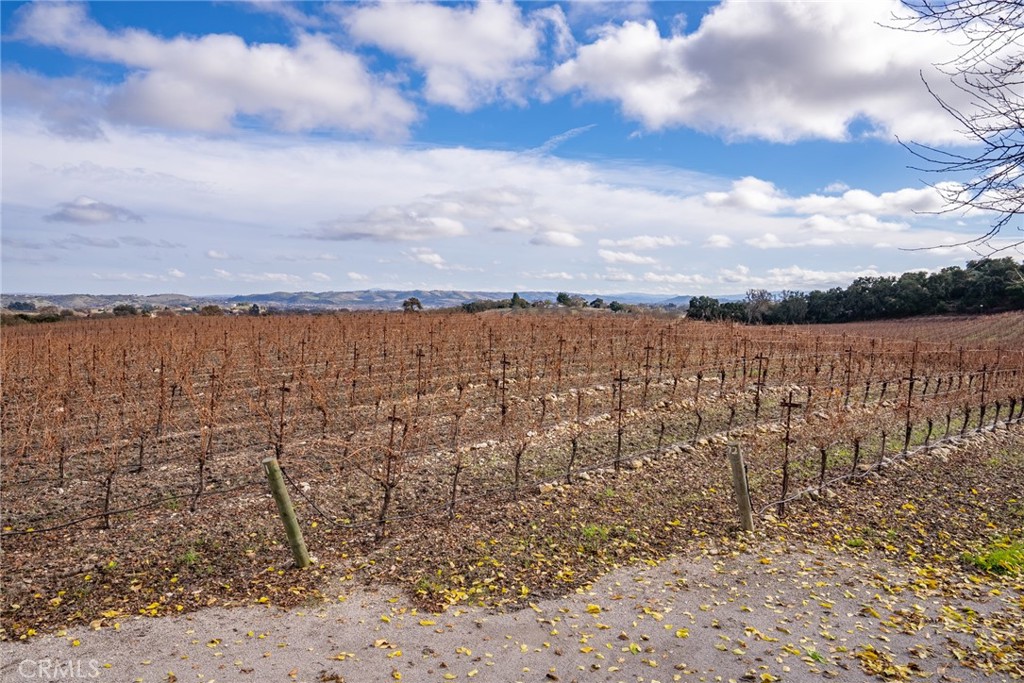 2135 Live Oak Road Paso Robles, CA 93446 - Photo 31 of 71