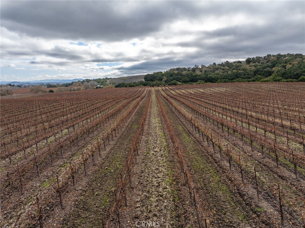 2135 Live Oak Road Paso Robles, CA 93446 - Photo 71 of 71