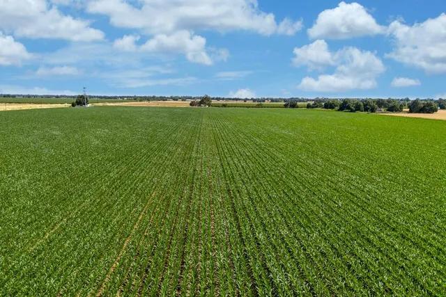 a view of a lake with a big yard