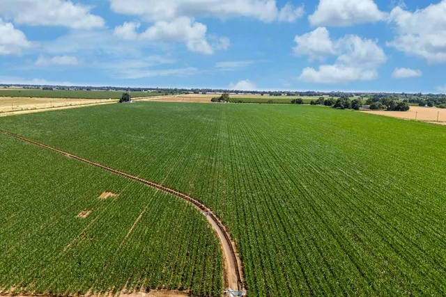 a view of a green field with clear sky
