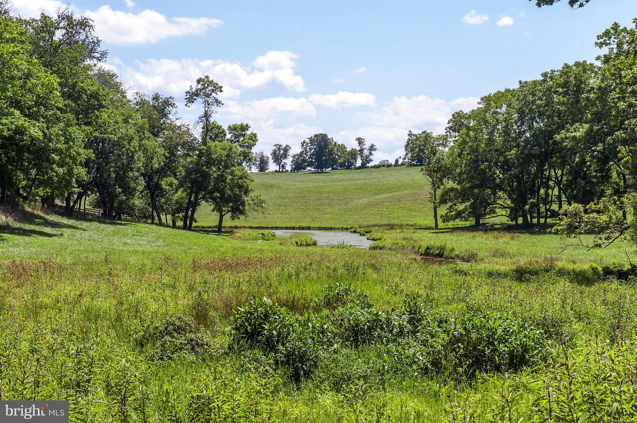 5170 Oak Spring Road Upperville, VA 20184 - Photo 4 of 11 Pond
