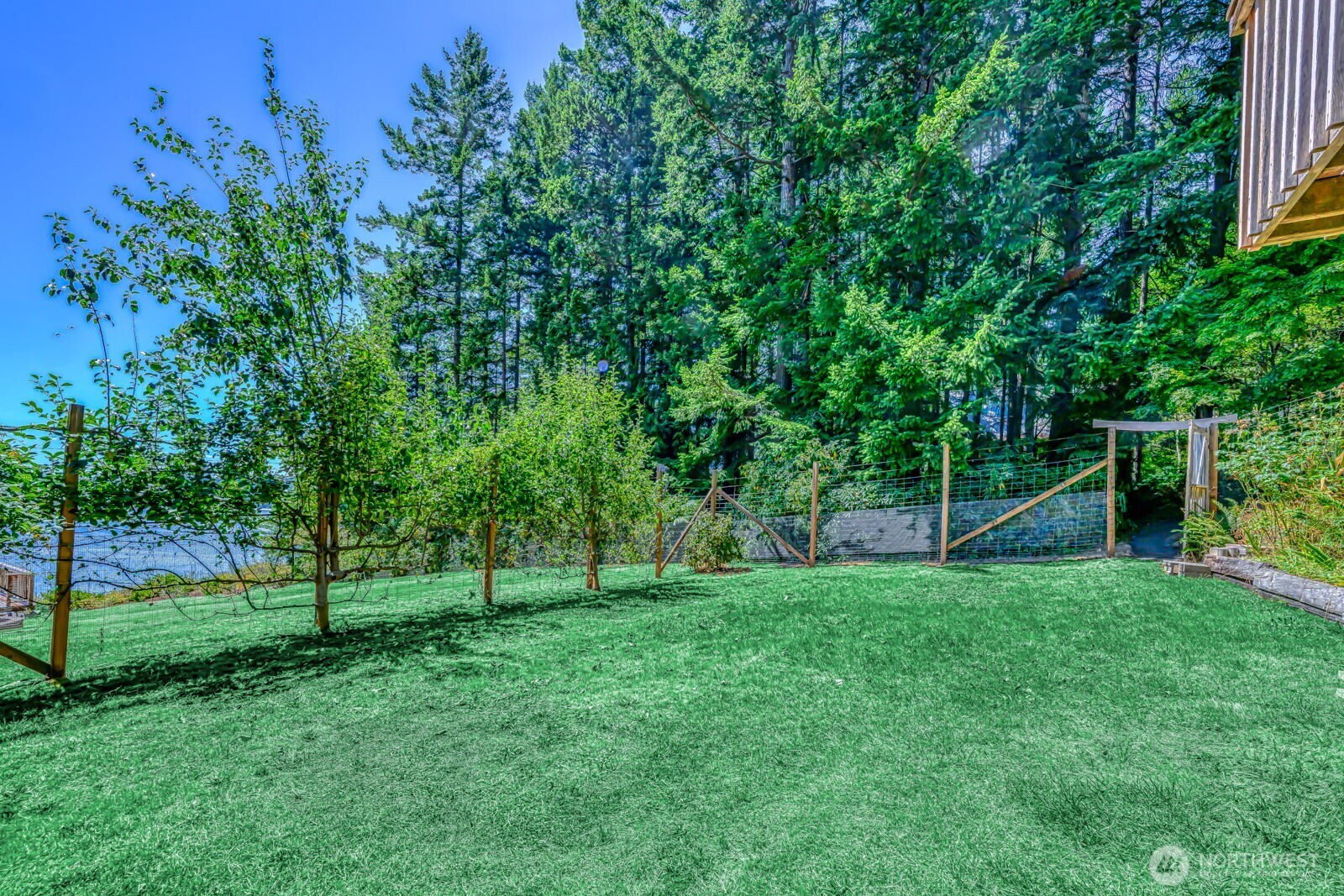 241 Gustavson Road Quilcene, WA 98376 - Photo 29 of 32 a view of a park with a tree
