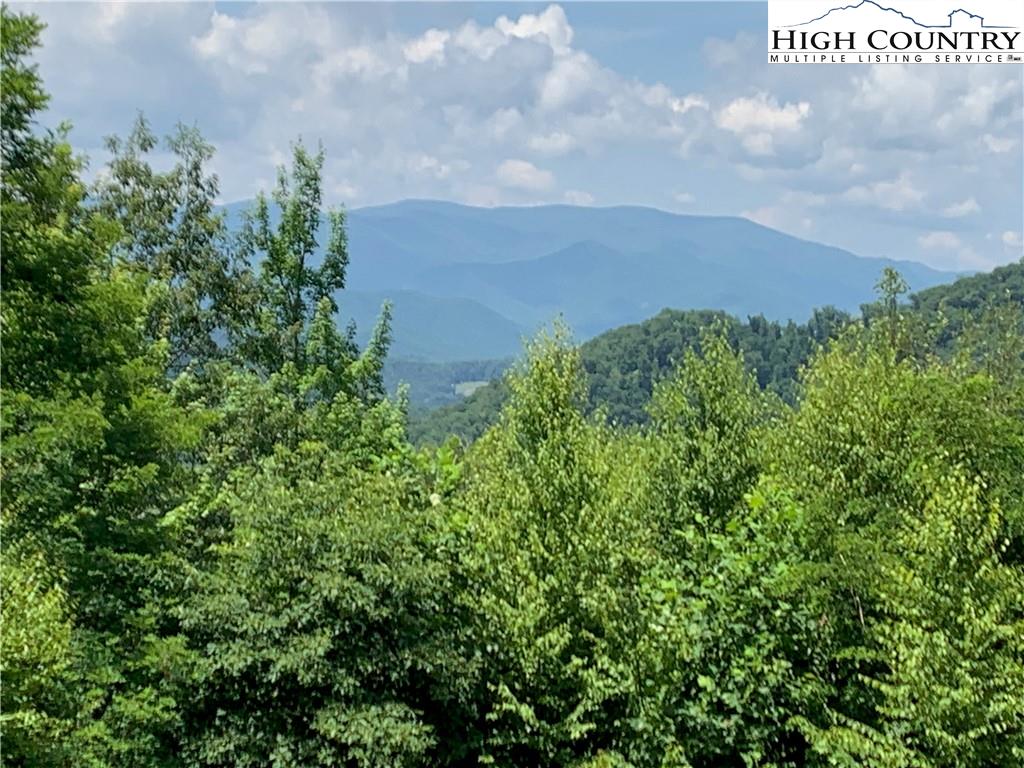 Skyview Road Robbinsville, NC 28771 - Photo 1 of 32 Gallery Image 1