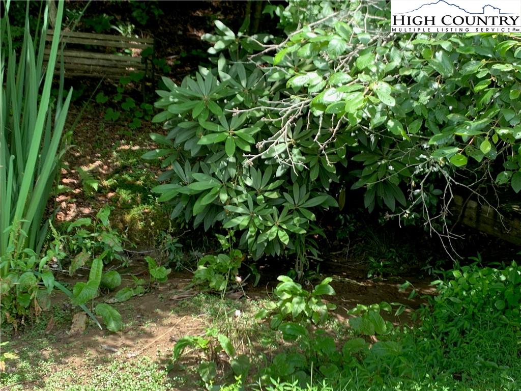 Skyview Road Robbinsville, NC 28771 - Photo 15 of 32 Gallery Image 15