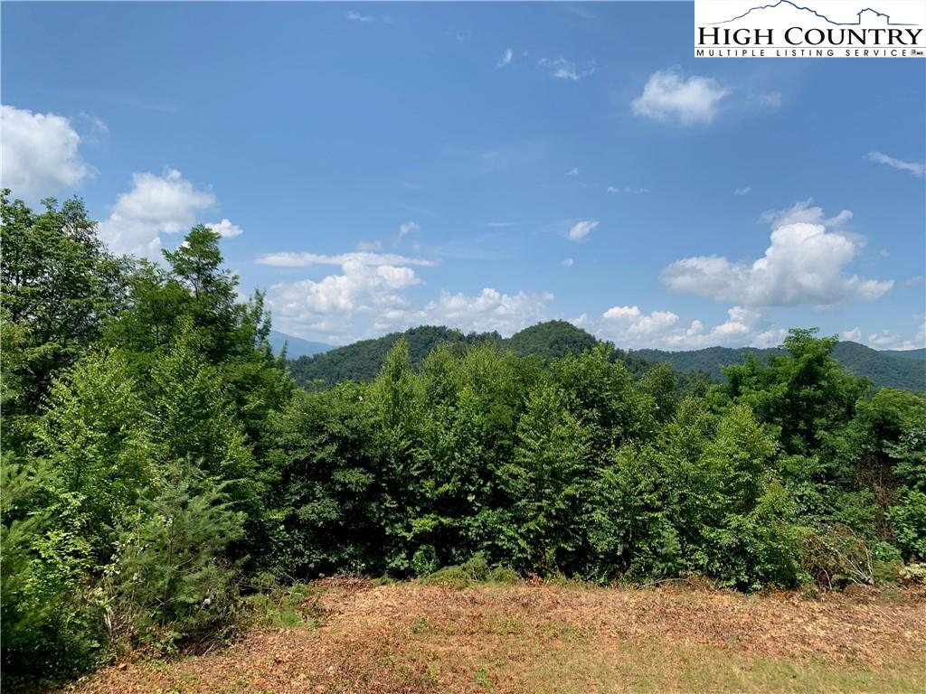 Skyview Road Robbinsville, NC 28771 - Photo 28 of 32 Gallery Image 28