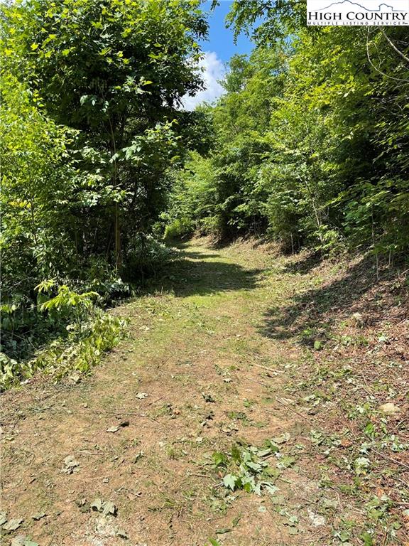 Skyview Road Robbinsville, NC 28771 - Photo 5 of 32 Gallery Image 5